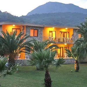 https://the-palm-apart-sarigerme.oludenizhotels.org