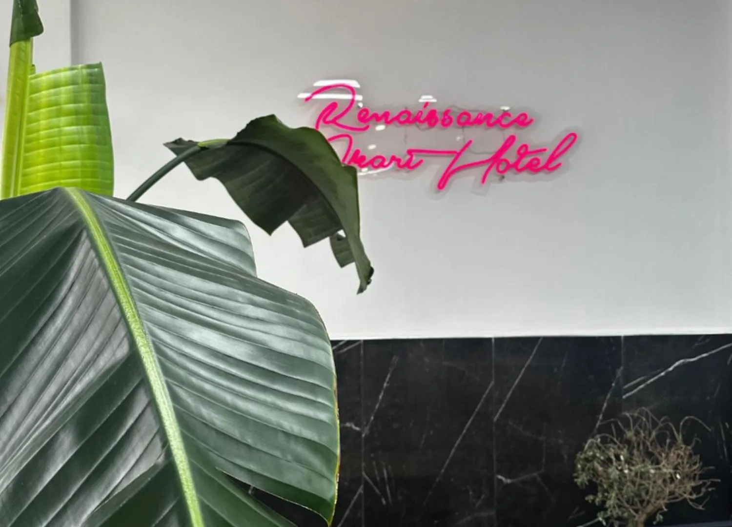 Апарт-отель Renaissance Apart Hotel Касусту Турция
